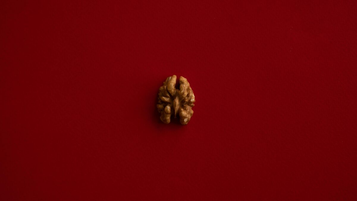 Comida para saúde do cérebro: 3 alimentos diários para prevenir o Alzheimer