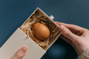 Tempo de conservação e congelamento de ovos: cuidados e dicas