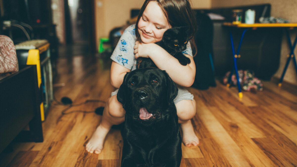 Como os Pets Melhoram Nossa Imunidade