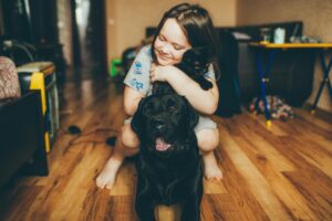Como os Pets Melhoram Nossa Imunidade