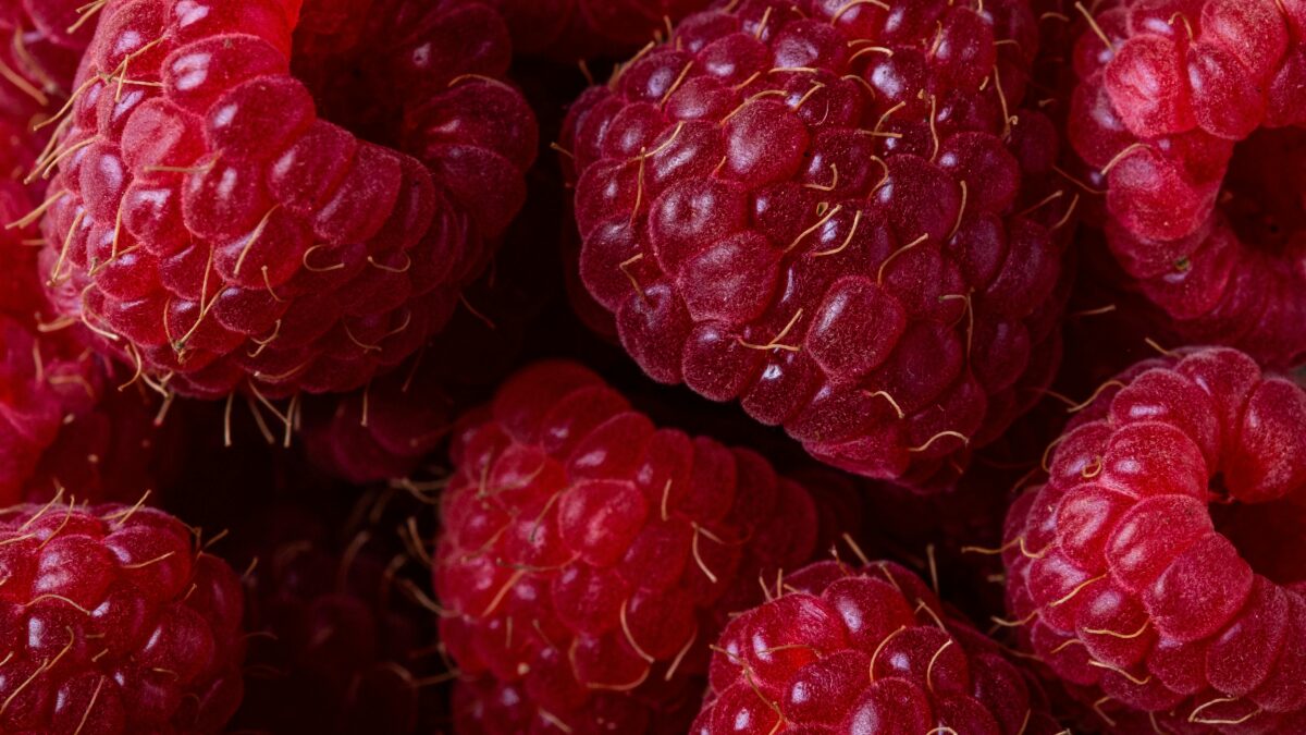 Comer Uma Maçã por Dia: Mitos, Evidências e Benefícios para a Saúde