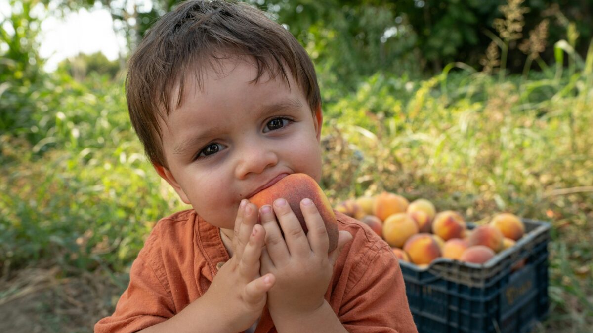 Obesidade infantil: o alerta silencioso para inflamação e danos cerebrais