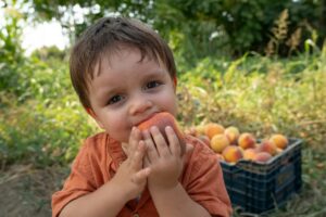 Obesidade infantil: o alerta silencioso para inflamação e danos cerebrais